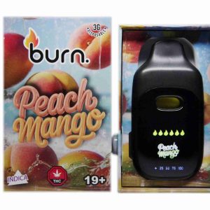 Burn Disposable Pen 3g - Peach Mango