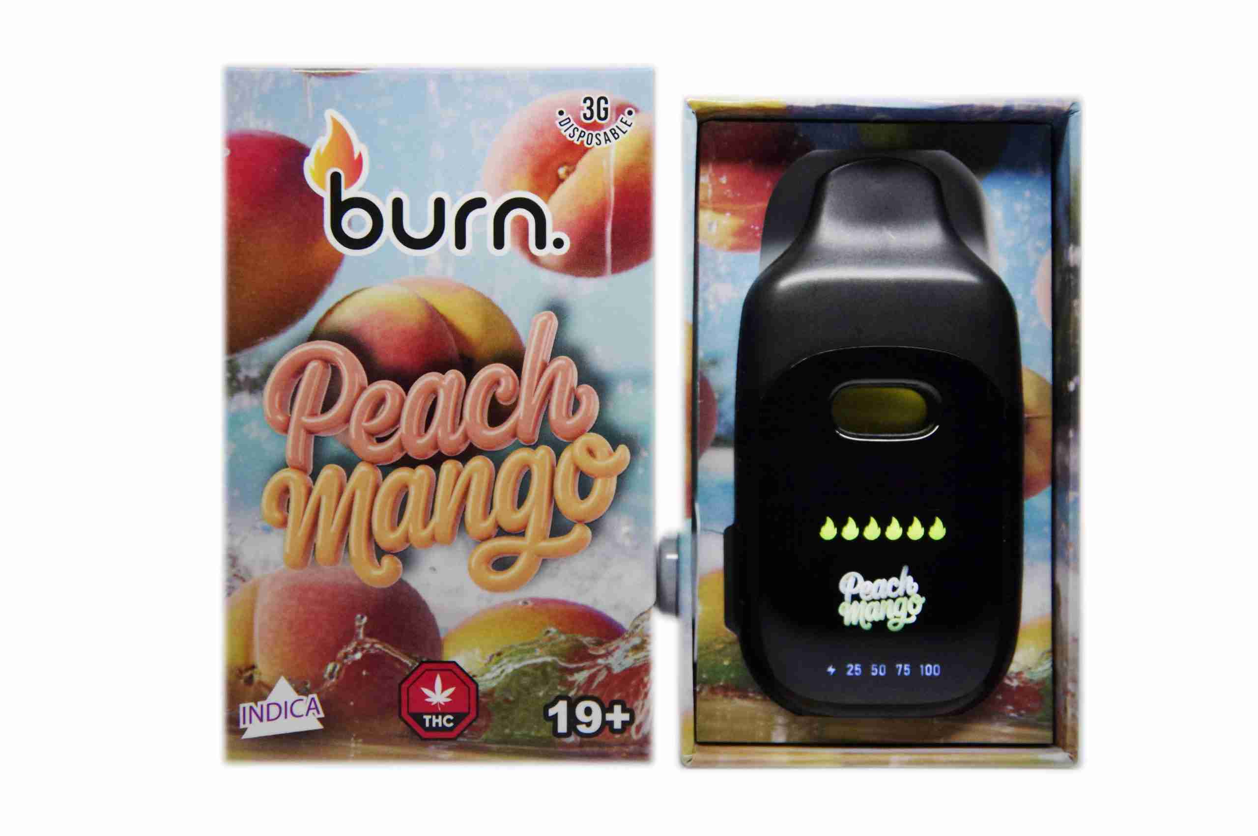 Burn Disposable Pen 3g - Peach Mango